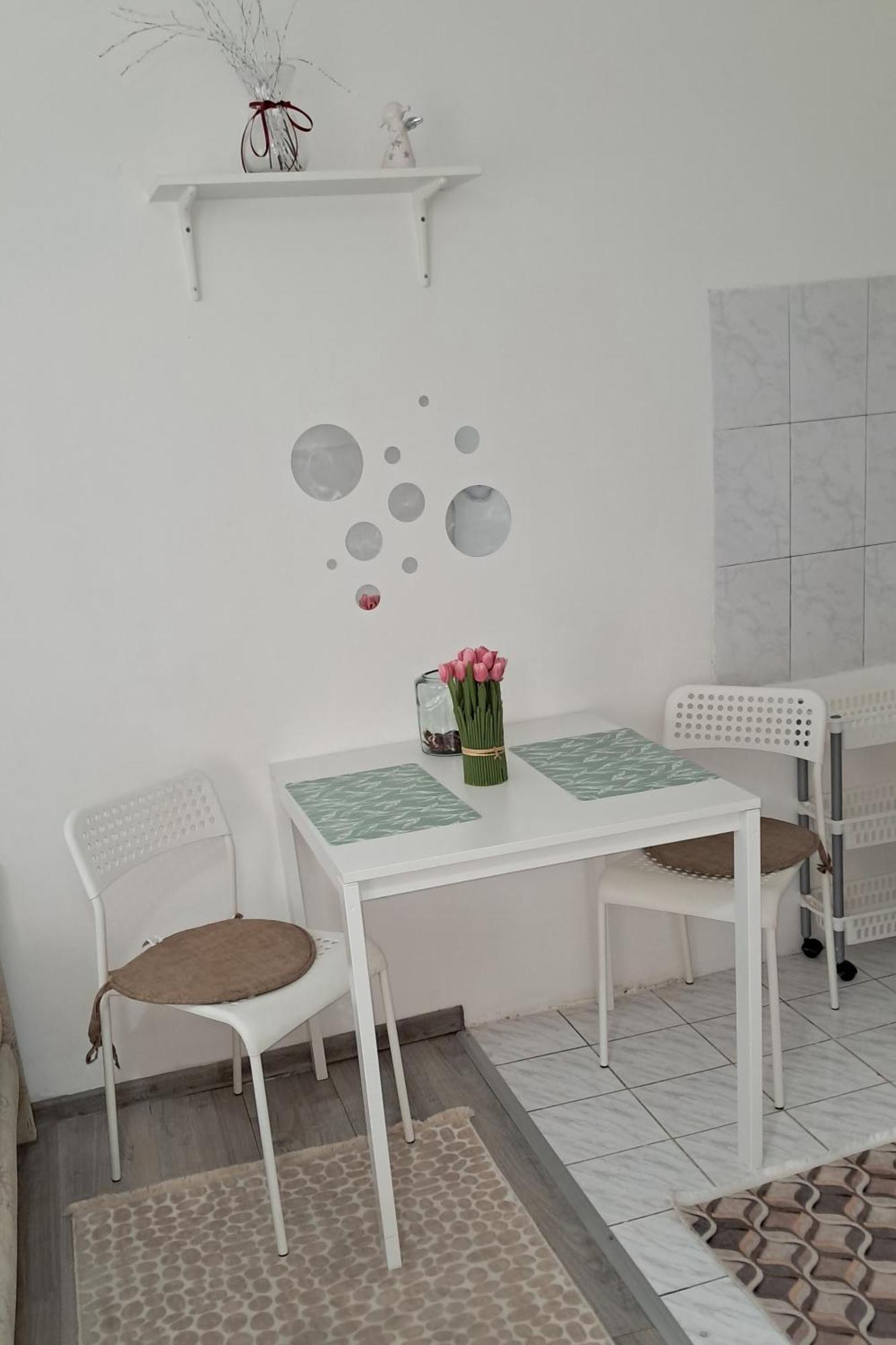 Apartament Nany 2 Nowy Sad Zewnętrze zdjęcie